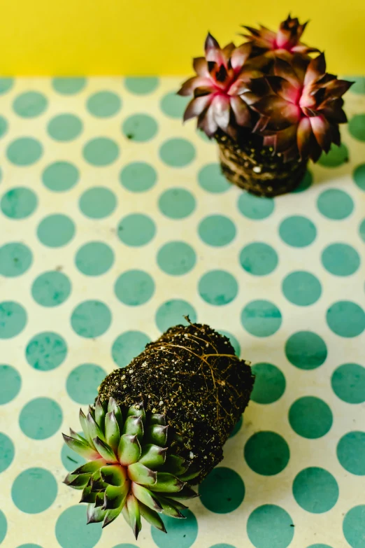 a couple of fruits sitting on top of a table