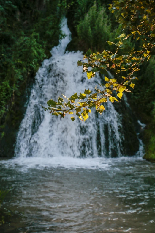 a stream flowing over a rocky mountain next to a forest