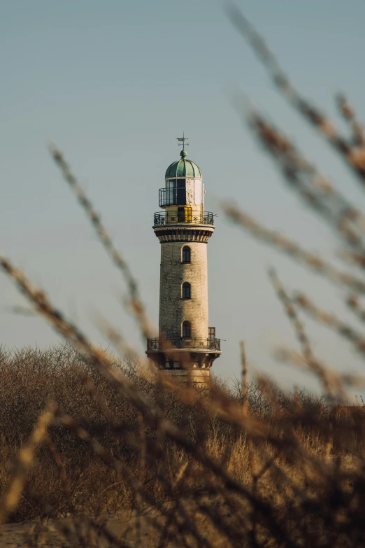 a very pretty small light house surrounded by brush