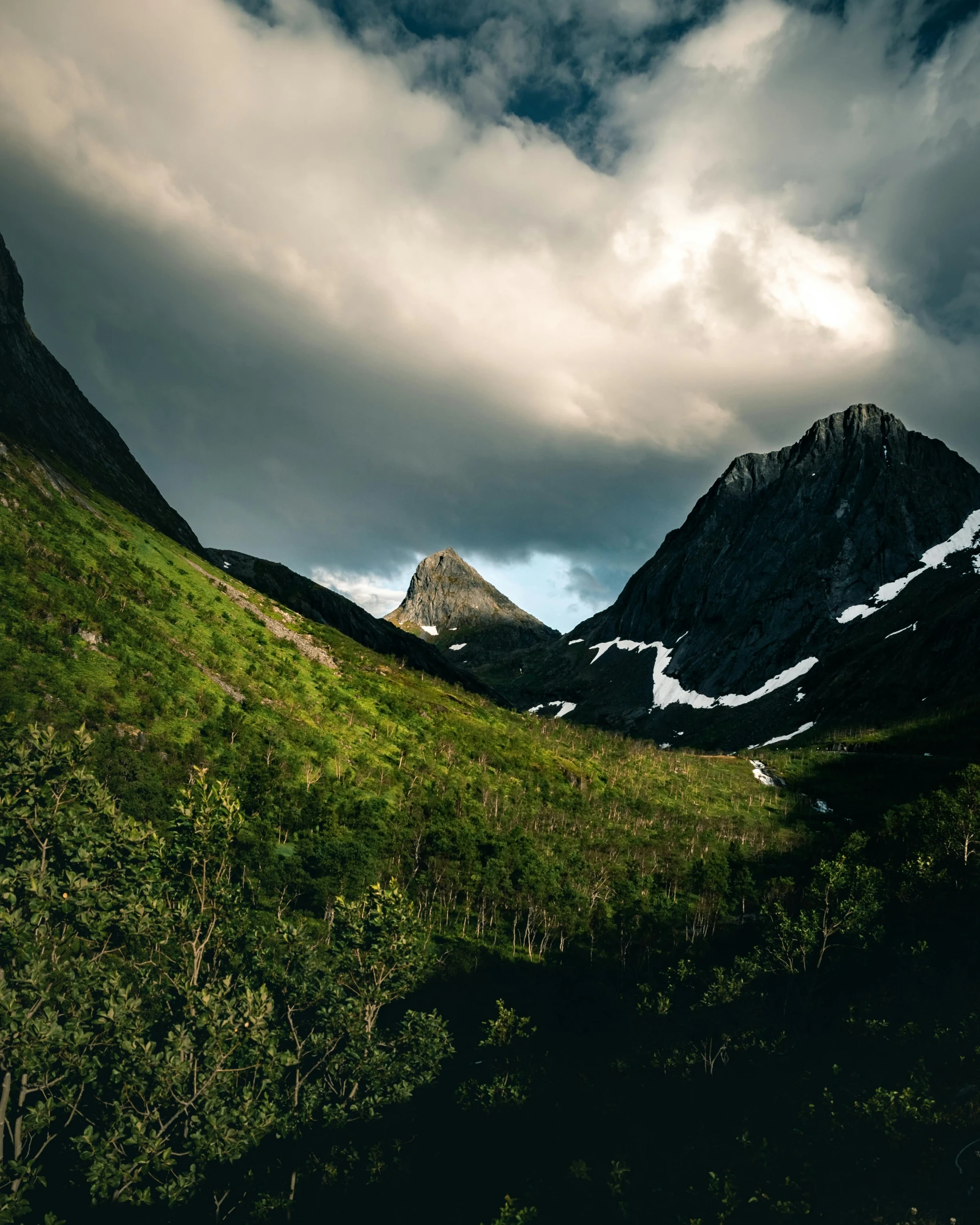 a field with grass and a mountain in the background