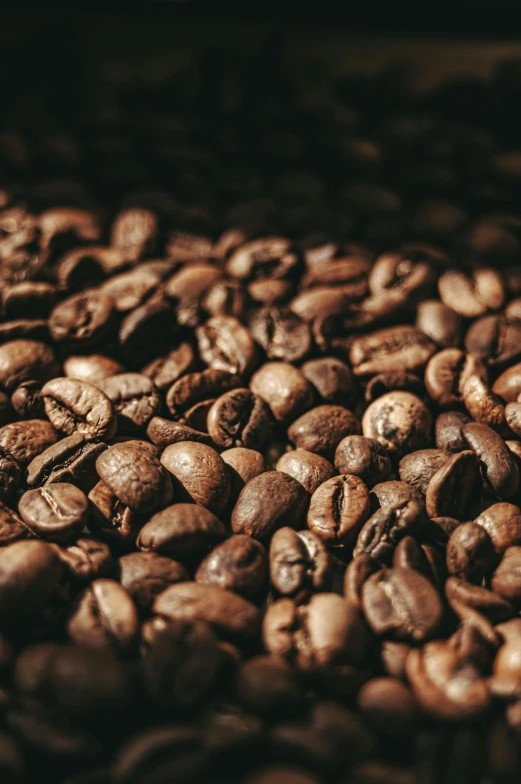 lots of coffee beans on a pile ready to eat