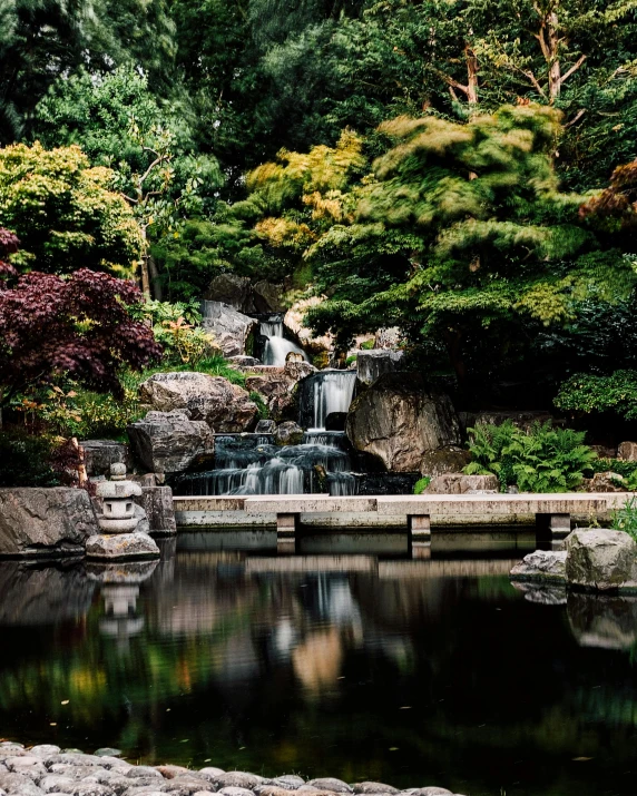 an oriental garden with pond and waterfall, japanese gardens, stone benches, trees and shrubs