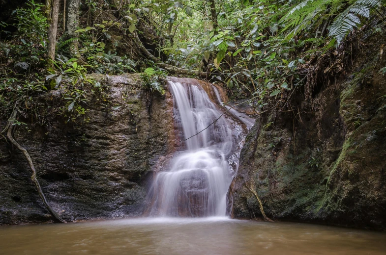 water falling down a narrow pool into a jungle like area