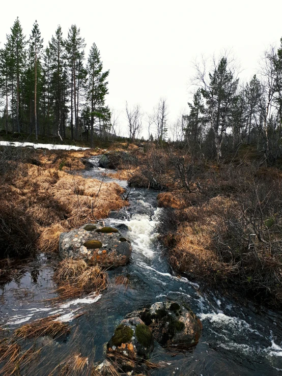 a stream running through the grass and dry brush