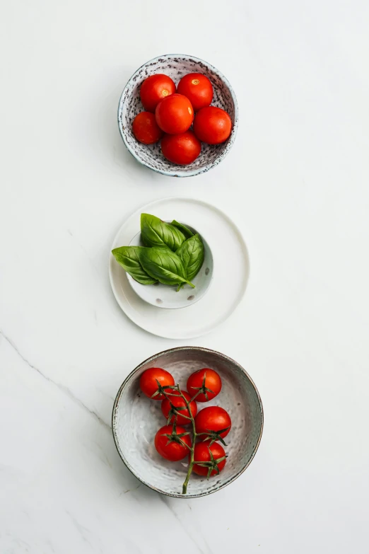 four bowls filled with fresh tomatoes and basil