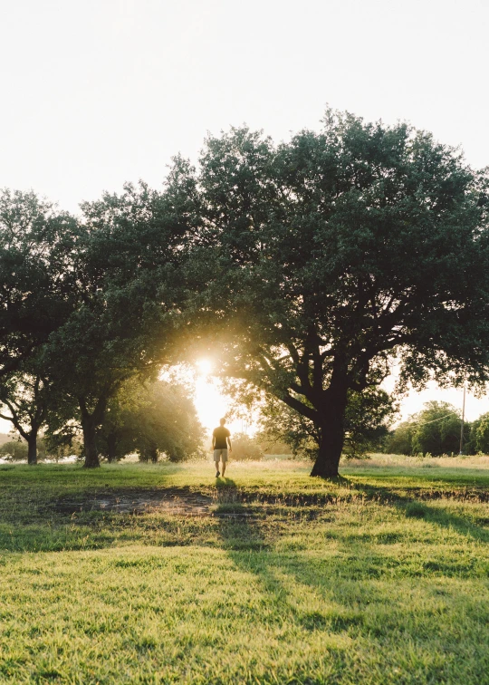 the person is walking in the open field near trees