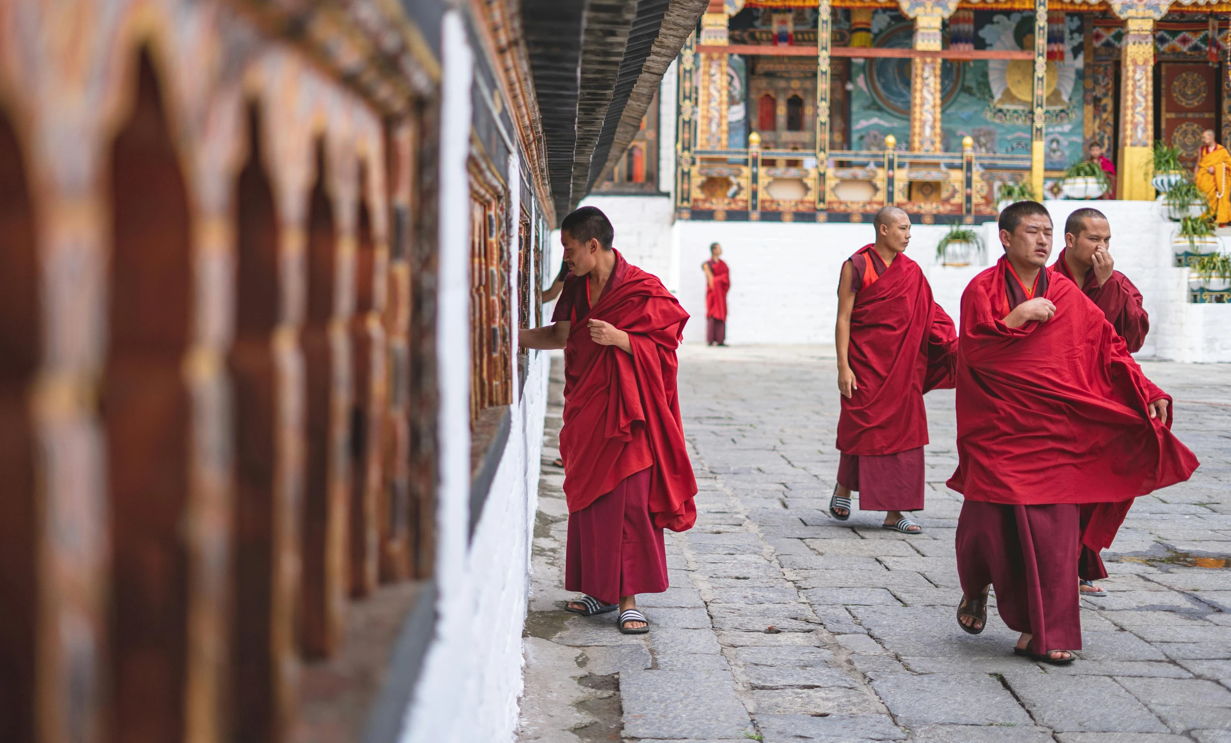 monks walking down a path with white walls in the background