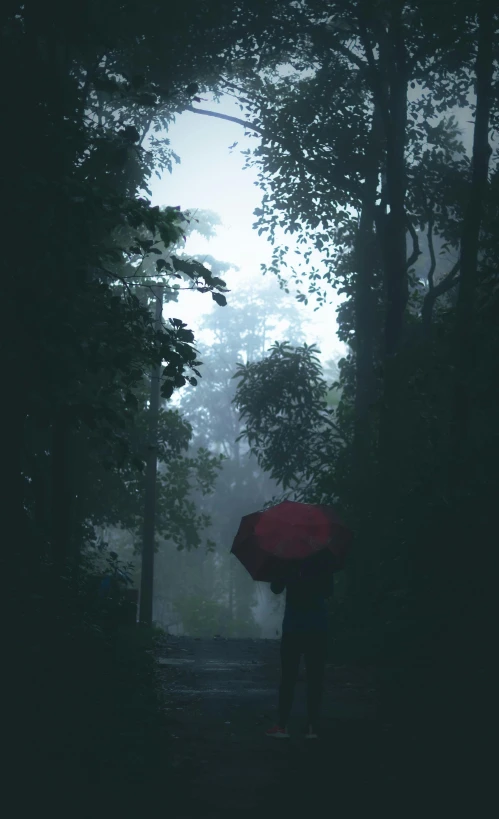 a person holding an umbrella looking out into the dark woods