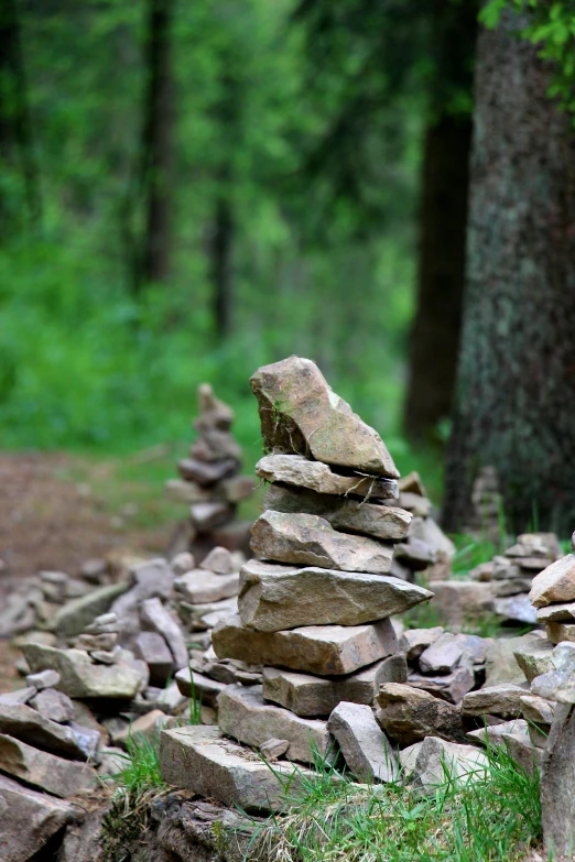 rocks and grass in a forest piled to form a pile