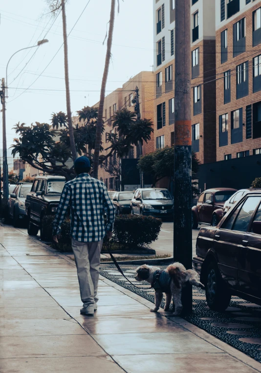 a man walking two dogs on a city street