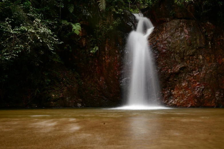 waterfall in middle of stream surrounded by lush green foliage