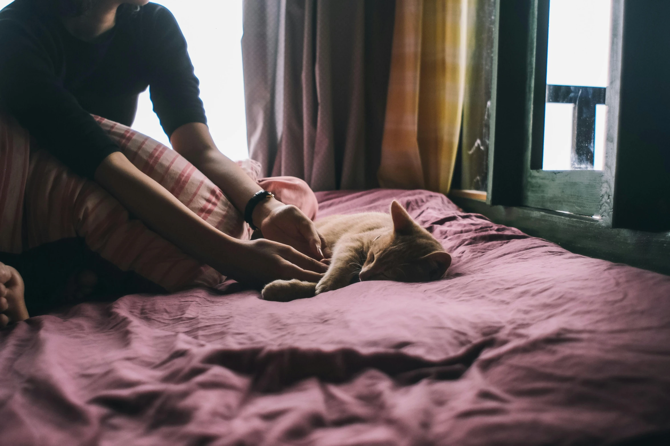 a woman on a bed petting her cat while wearing pajamas