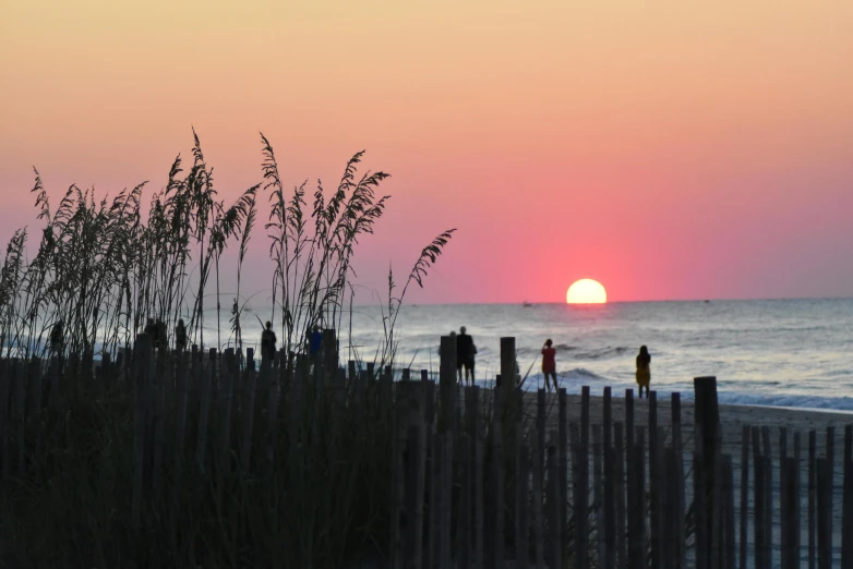 people stand on a beach at sunset near the ocean