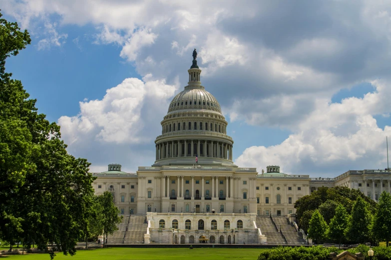 the capital building is surrounded by lots of trees