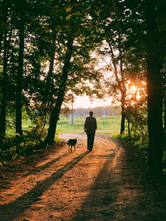 a person walks his dog down a country road