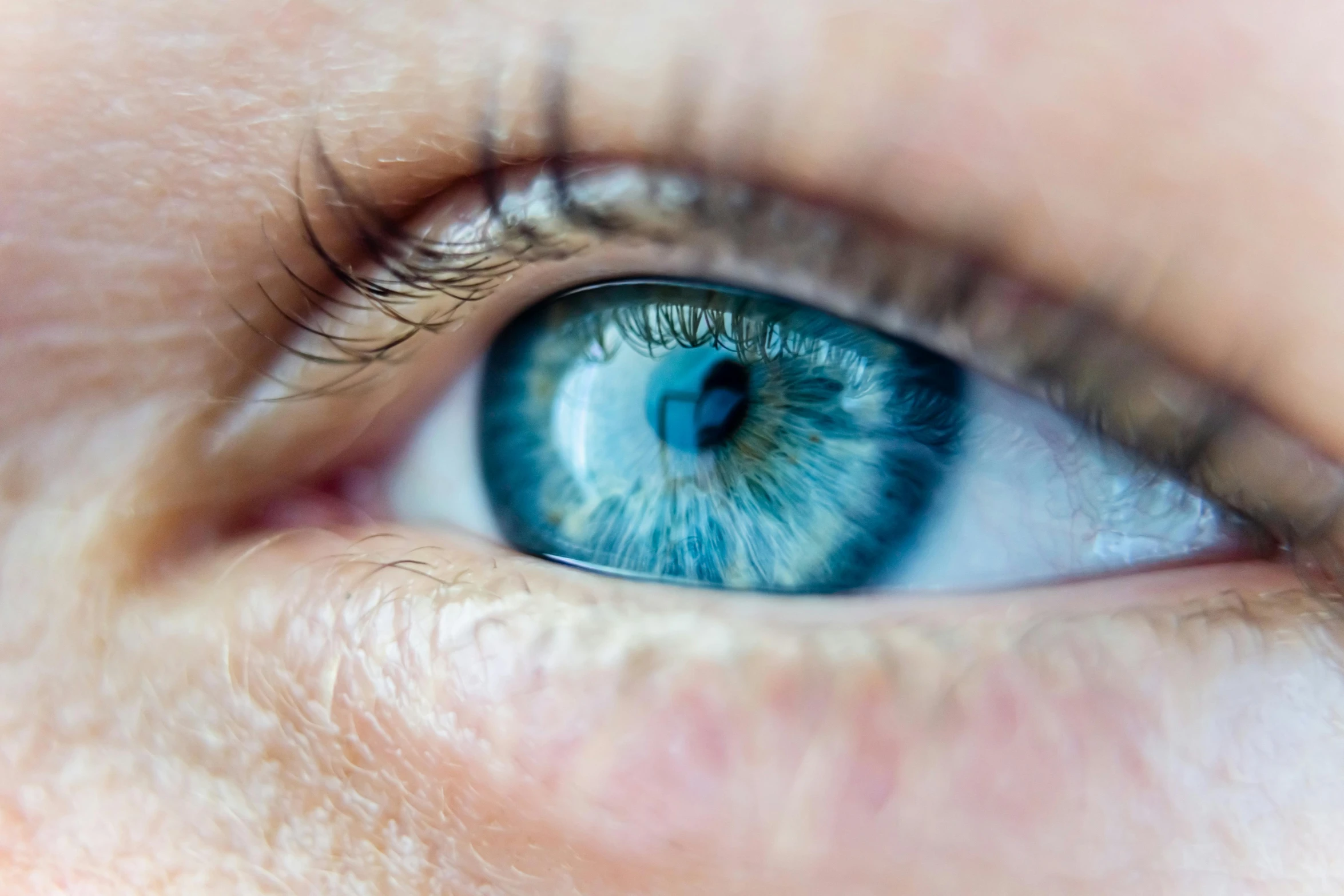 an eye with blue eye and grey brows