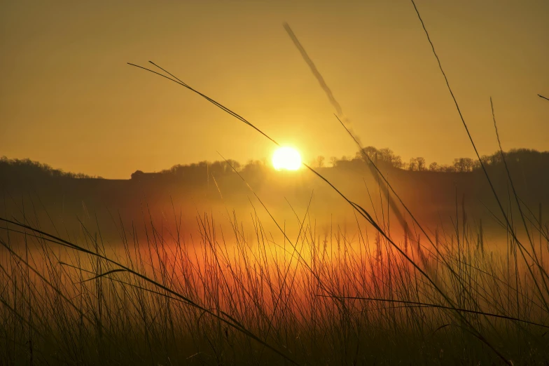 the sun shining brightly behind a field