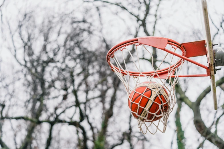a basket filled with a basketball on top of a court