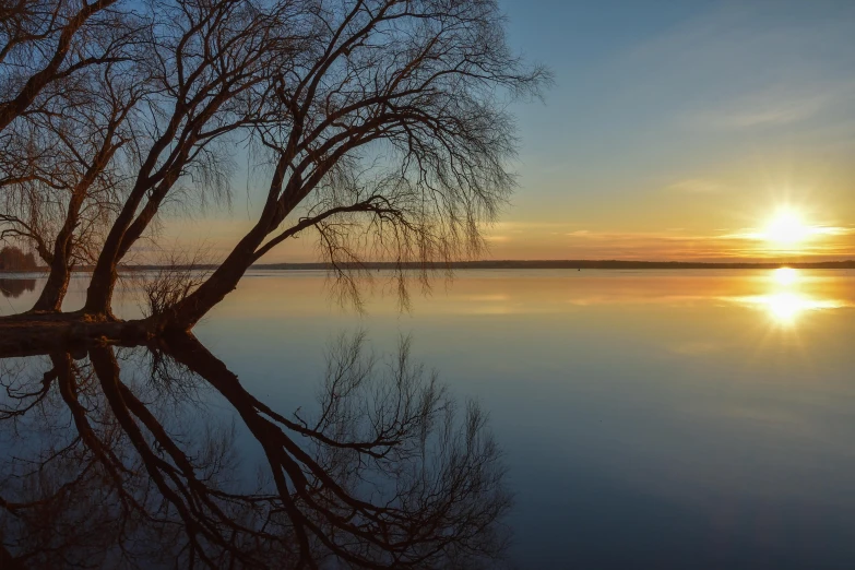 the sun shines behind a single tree in an ocean