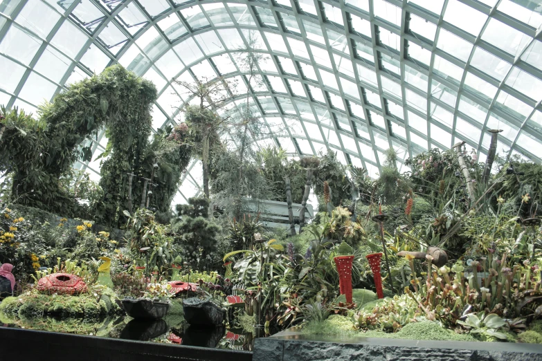 a huge garden with various plants and flowers inside a building