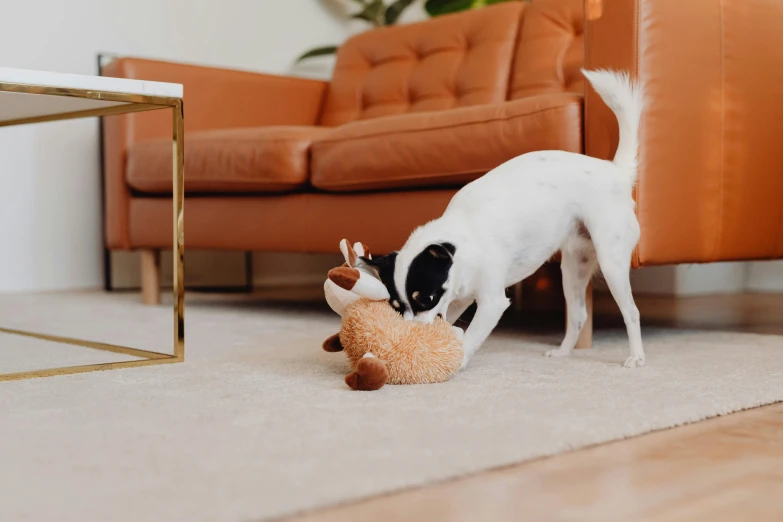 a dog eating soing out of a plush animal