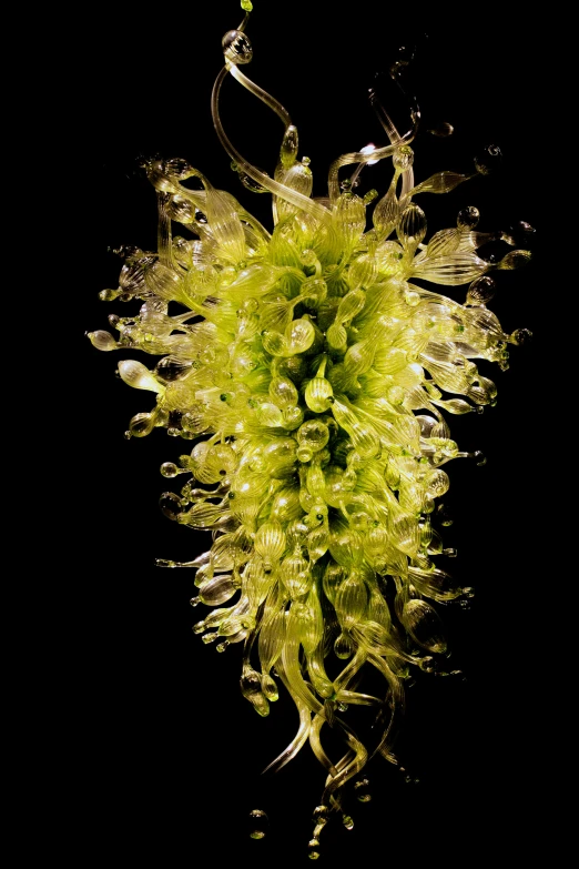 a long stemmed glass vase with many green flowers on it