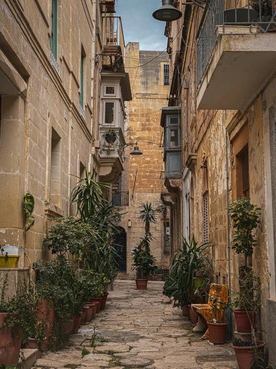 an old narrow alleyway with potted plants and stone building