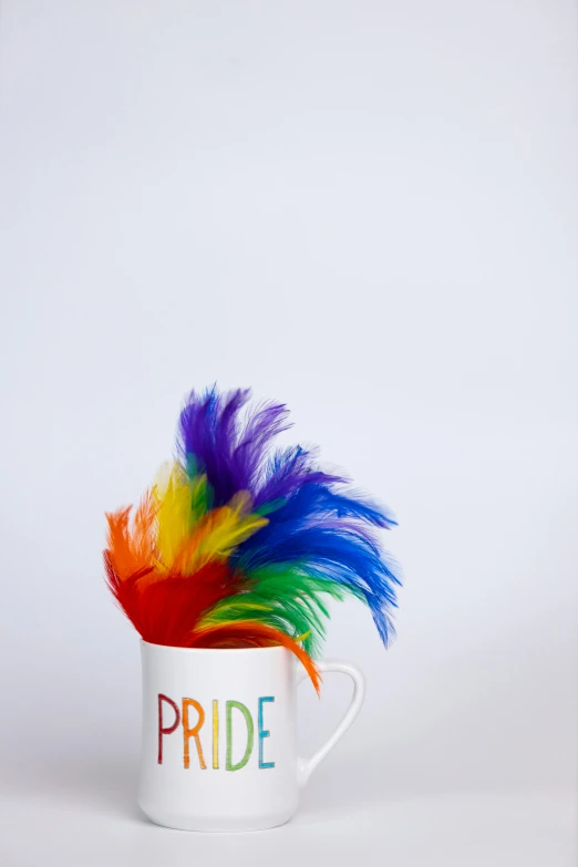 a close up of a white mug with feathers in it