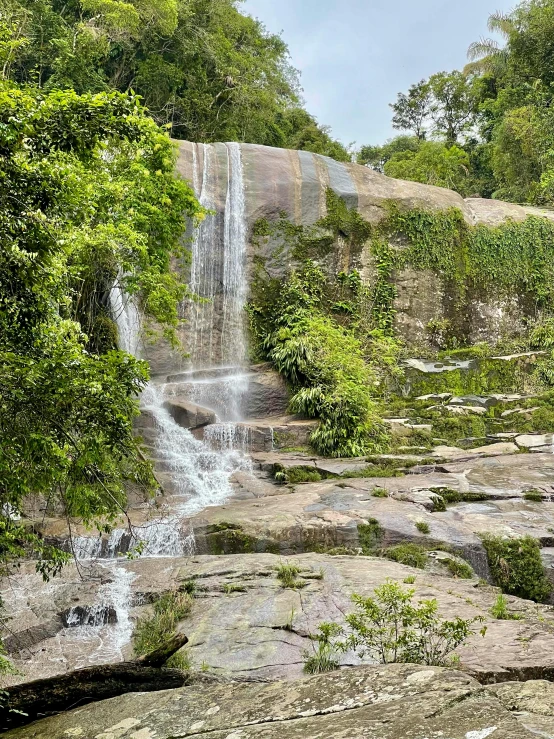 there is water being poured from a hill with trees