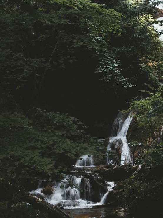 a very pretty small waterfall in the woods