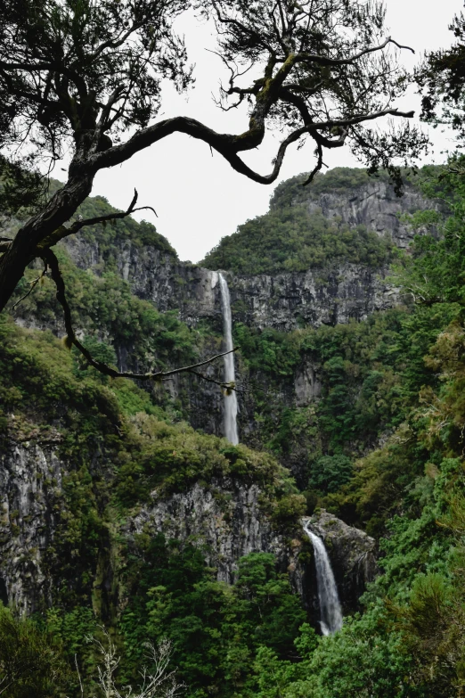 a tall waterfall with a few trees in the foreground