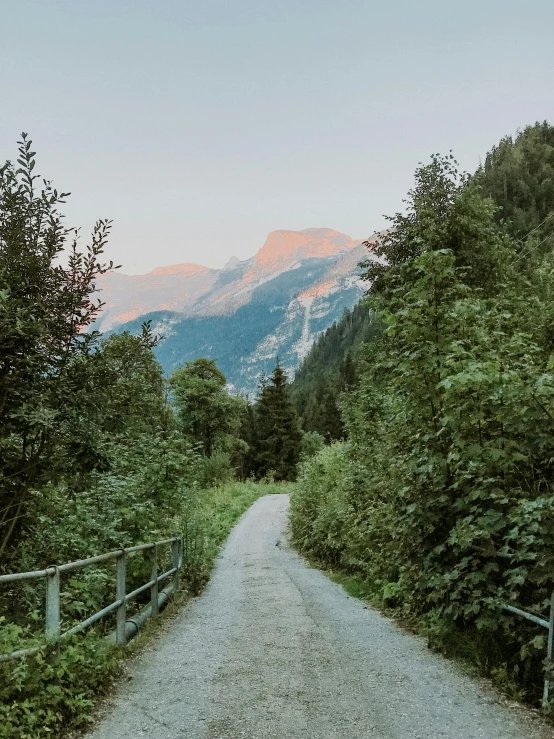 a dirt path leads up to a mountain covered in green trees