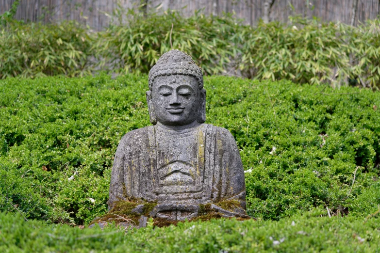 an old buddha statue sitting in the middle of a grassy area