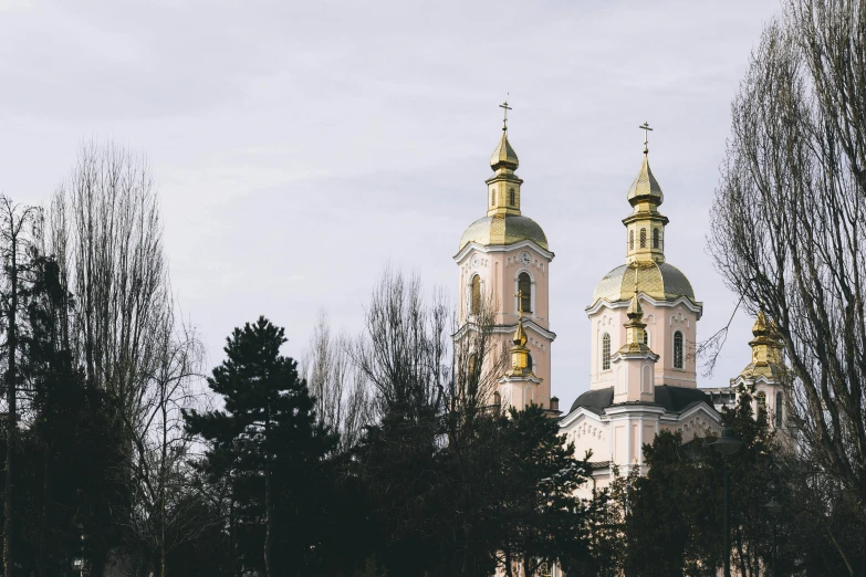 the building with two towers has gold spires