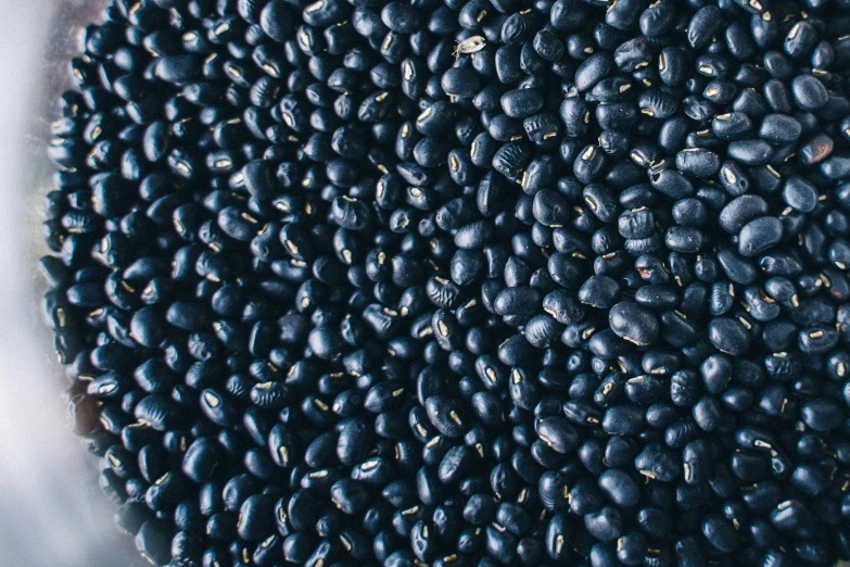 black beans placed in a metal bowl
