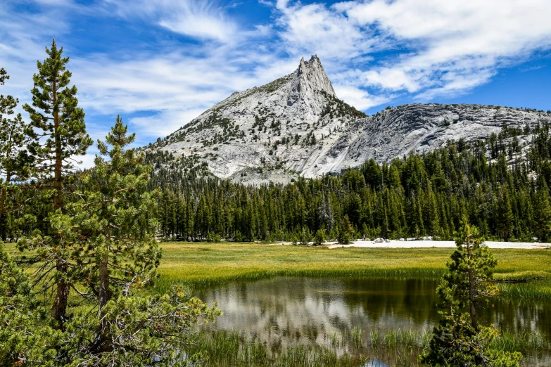 some trees are by a mountain water and grass