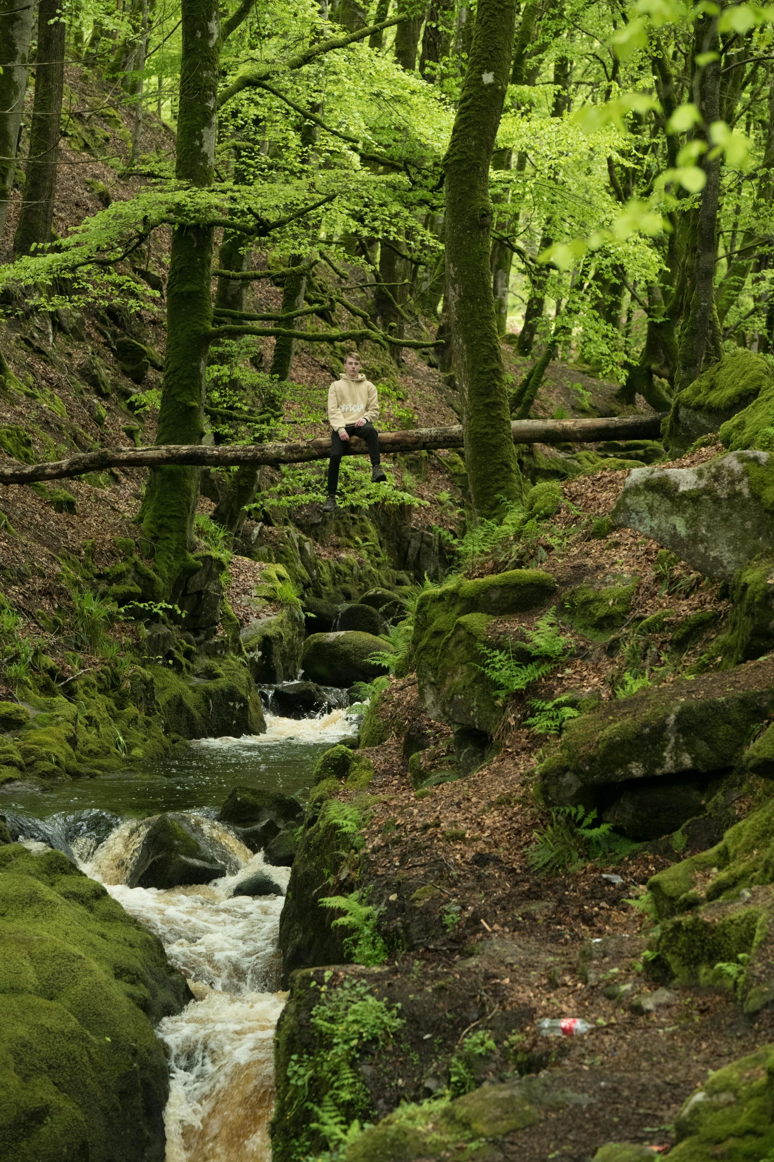 man crossing bridge over small stream in forest