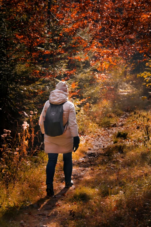 a woman walking through a forest while carrying her backpack