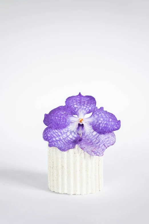 a white and purple cupcake with an orchid in the middle