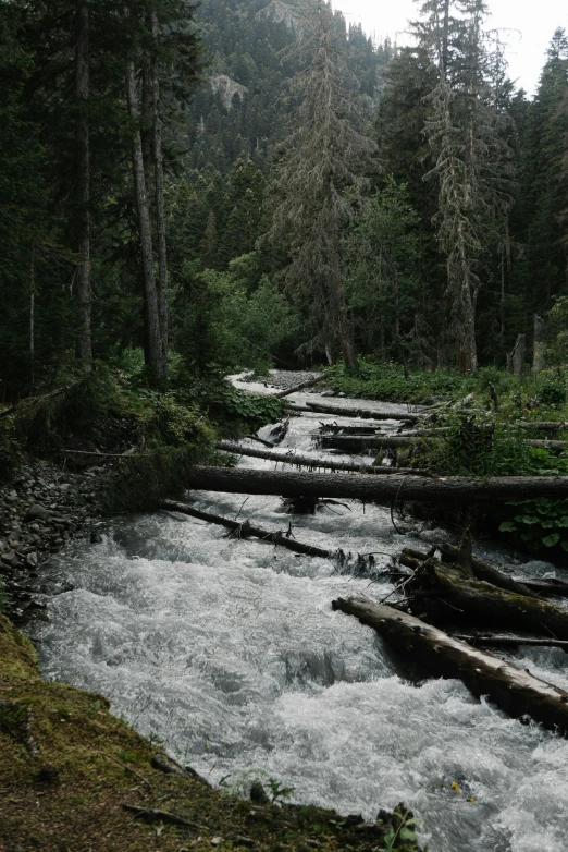 a stream with rocks, wood and other things moving down it