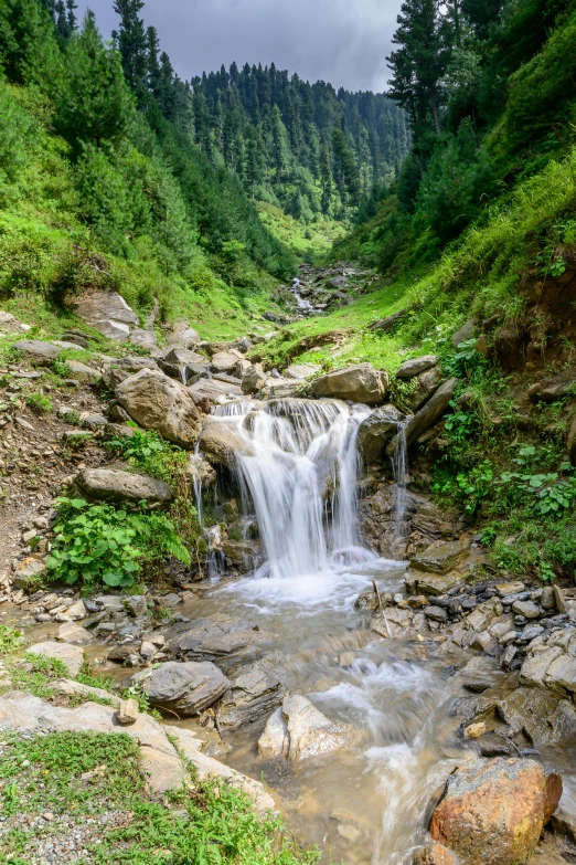 a stream of water running over rocks in the middle of a forest