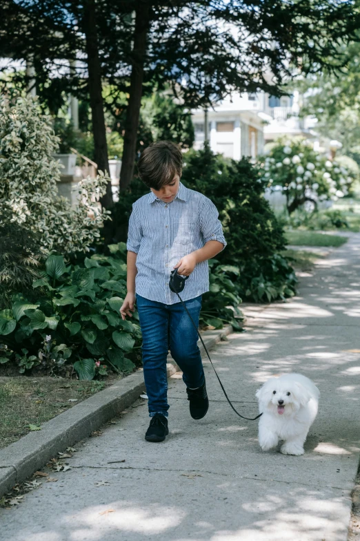 the boy is holding a leash to the small dog