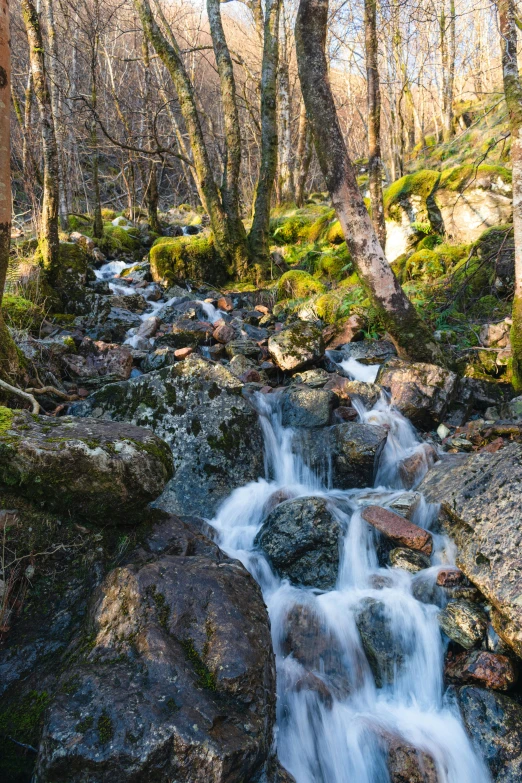 stream with water falling down between rocks in a wooded area