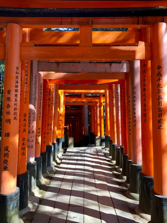 a narrow walkway lined with rows of orange gates