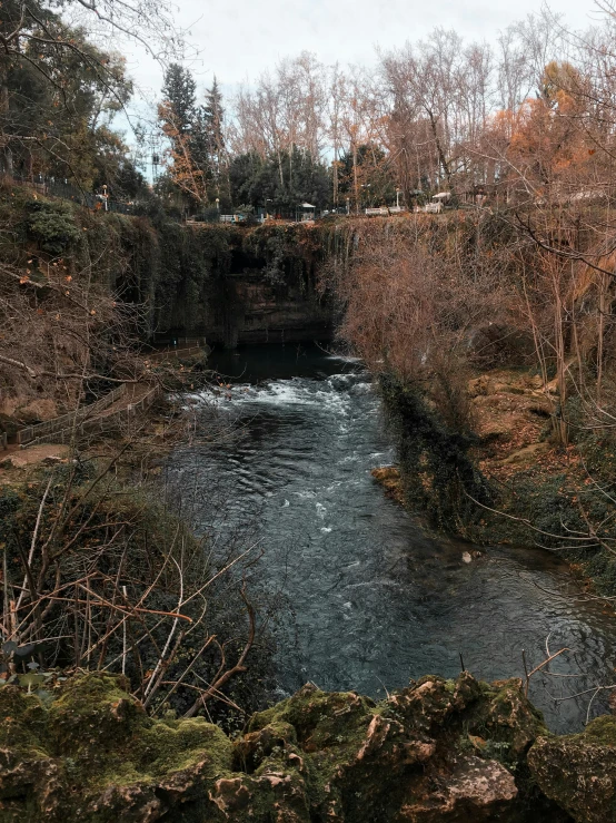 a small creek flowing through a forest filled with green trees