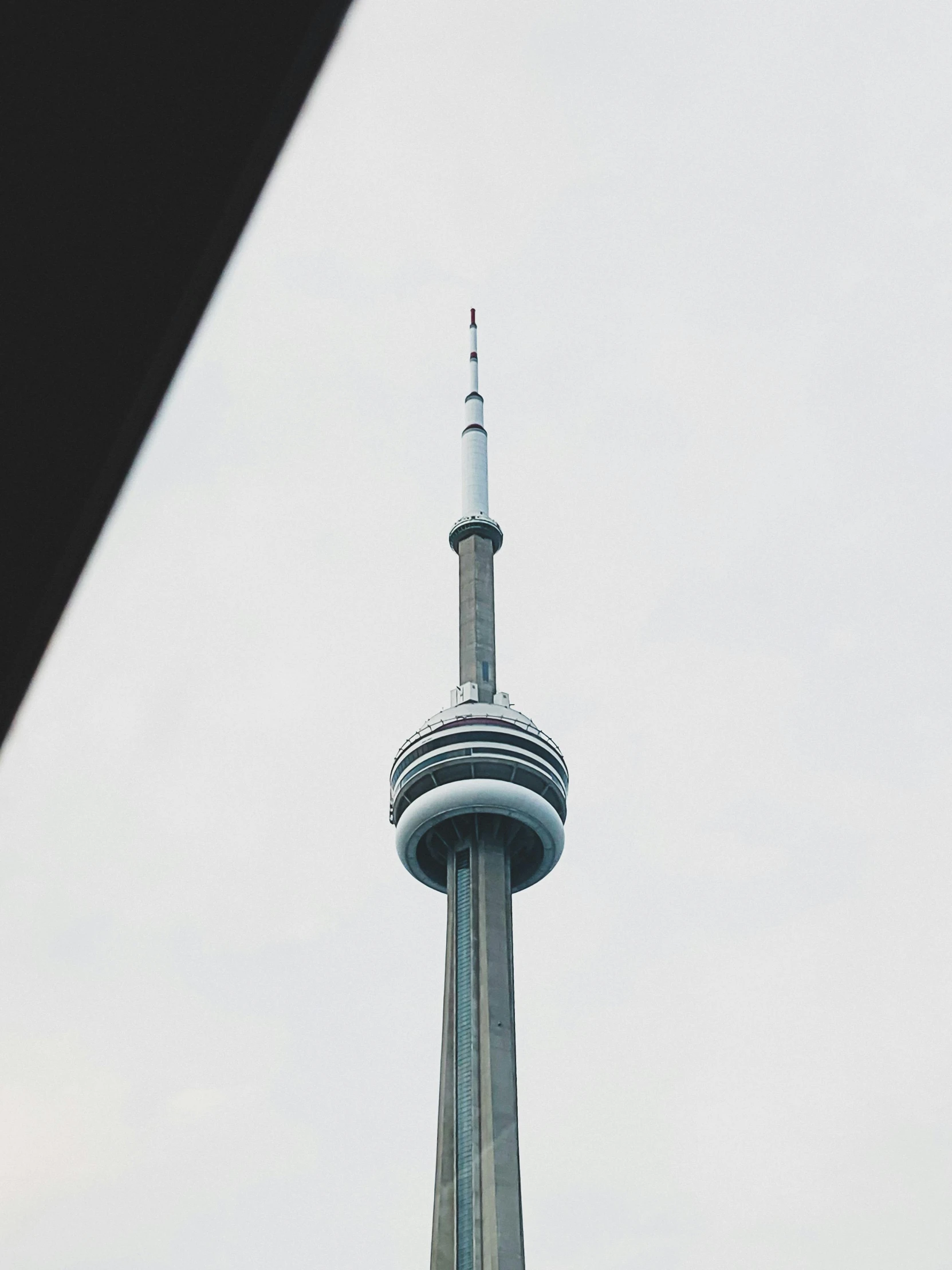 a po looking up at a tall building