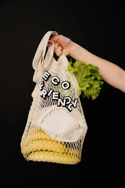 a person holding a bag of lettuce and some bread