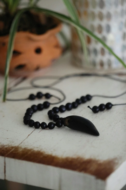 a rosary on a table with a green plant nearby