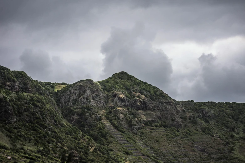 mountain slope, some bushes and other vegetation, in the foreground