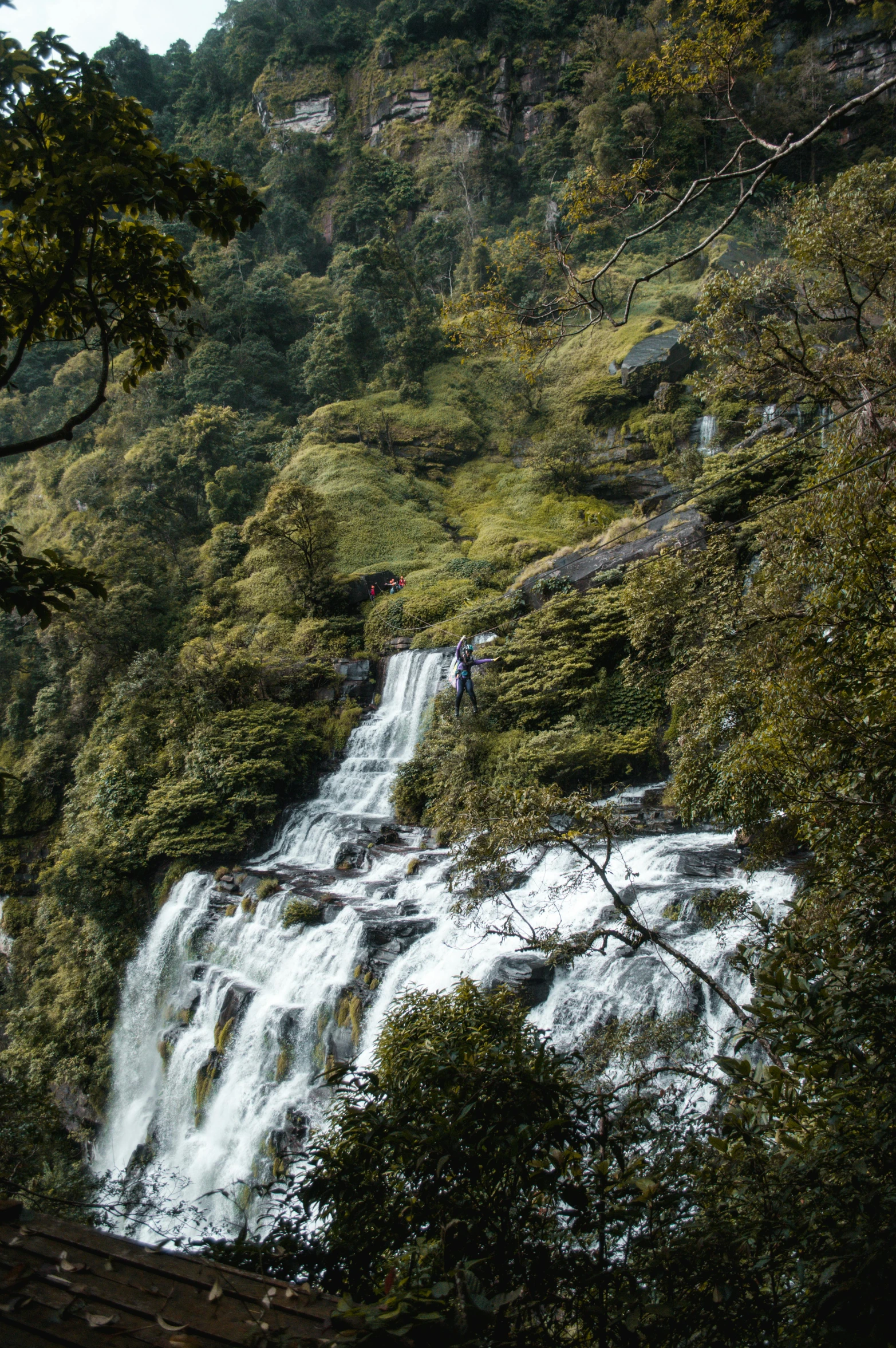 a waterfall flowing into a forest covered hillside